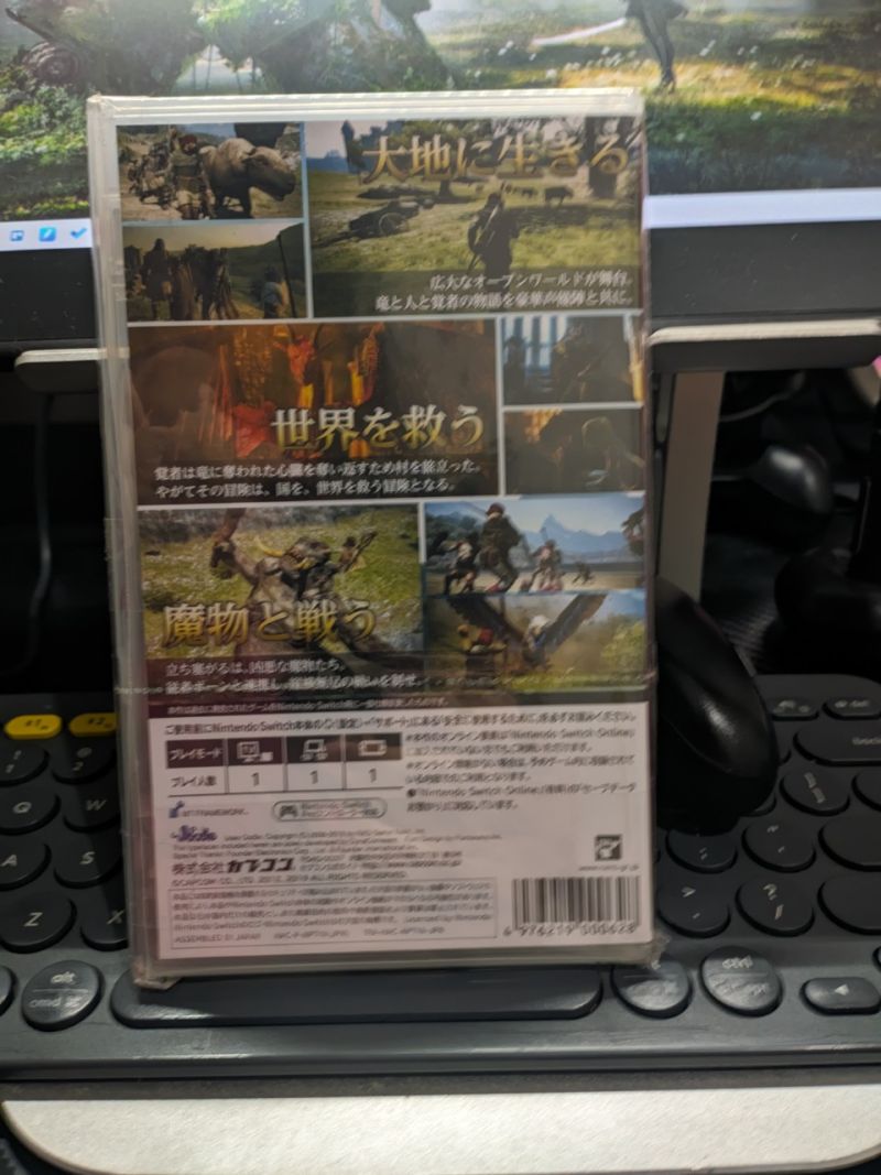 Dragon Dogma Dark Arisen Nintendo Switch
