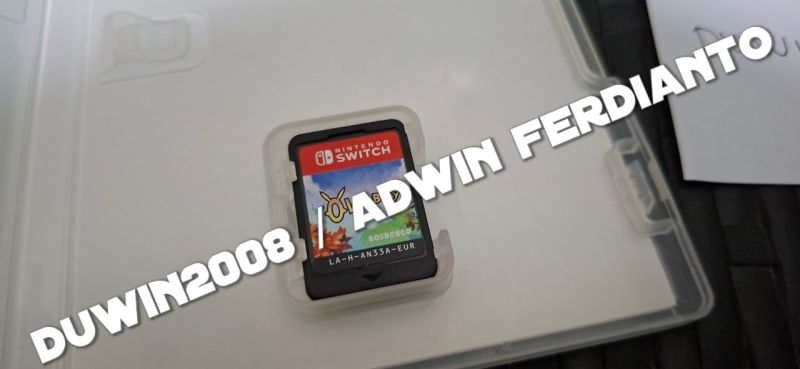 Nintendo Switch - Owlboy