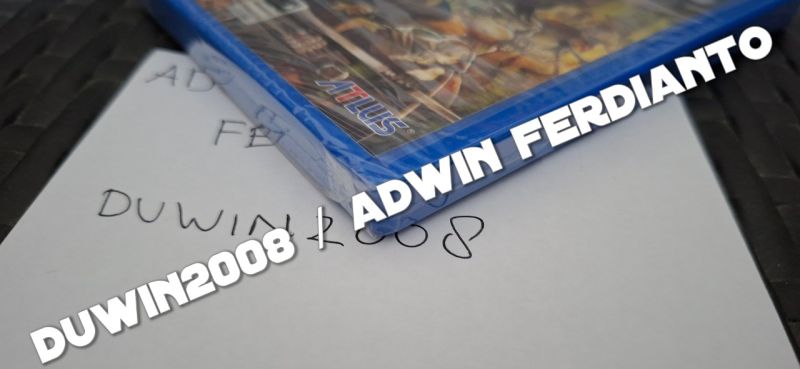 Playstation Vita - Dragon's Crown