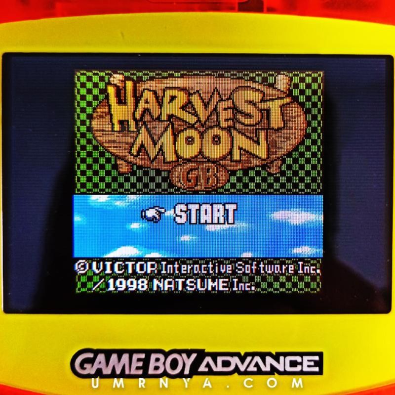 Kaset Original Nintendo Harvest Moon GBC GameBoy Color GBA SP BTN SOS