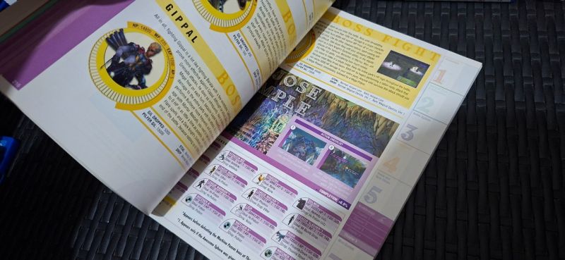 Guidebook - Brady Games Official Guidebook Final Fantasy 10-2