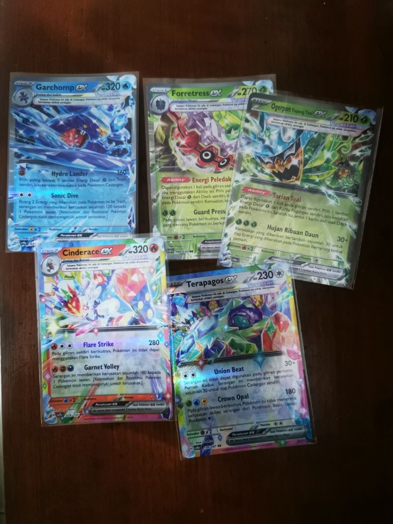 Tcg terastal + tcg purba