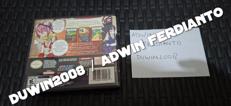 Nintendo DS - Izuna Legend Of The Unemployed Ninja