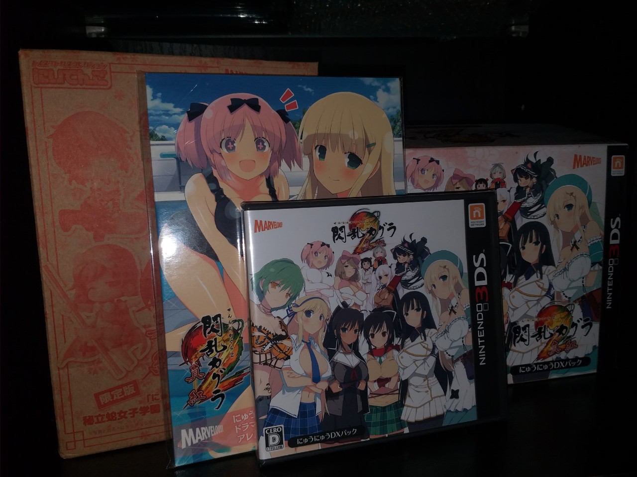 Senran Kagura 2 Shinku Nyuu Nyuu DX Pack Nintendo 3DS Region Jepang