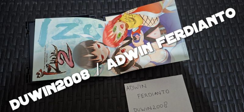 Nintendo DS - Izuna 2 The Unemployed Ninja Returns