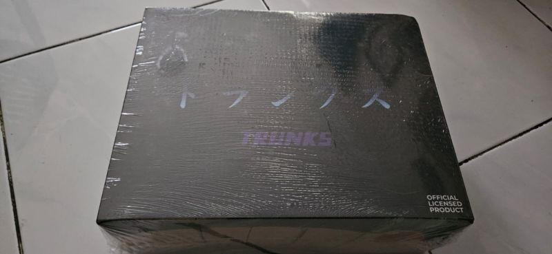 sepatu limited edition dragon ball z versi trunks. Ukuran 40. Official aerostreet