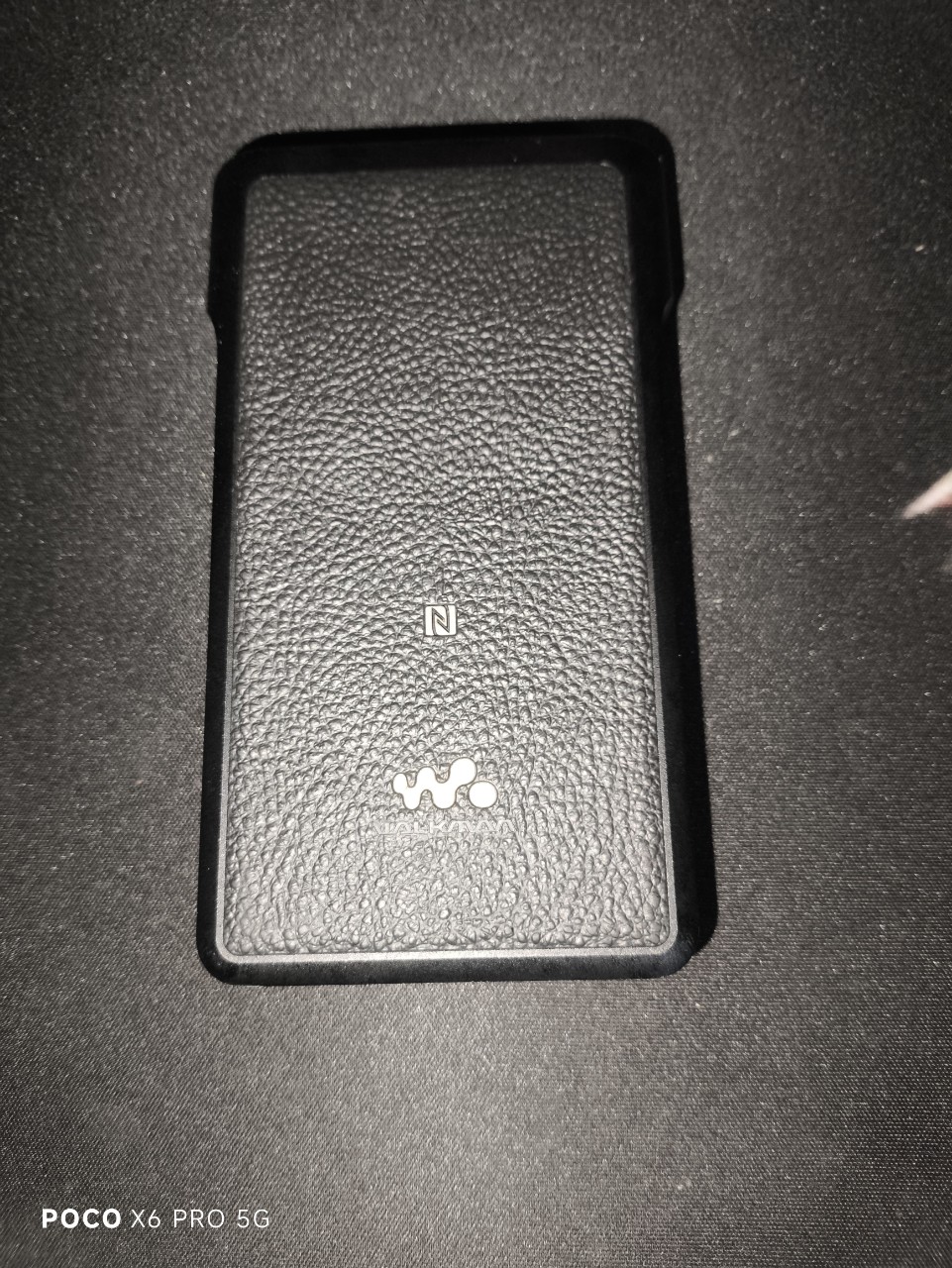 DAP Sony NW-WM1A