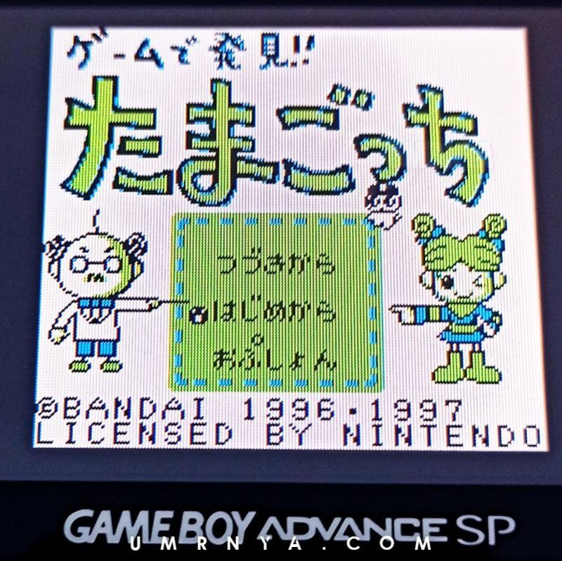 Kaset GameboyTamagotchi Nintendo Game boy GBC GBA SP GBC Tamagoci Cartridge