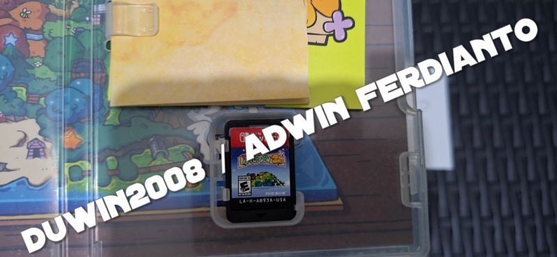 Nintendo Switch - ittle Dew 2+