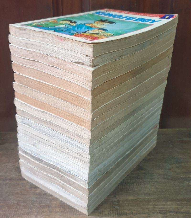 Komik New Kungfu Boy 1-20 Tamat. Danny Aldana Hidayat