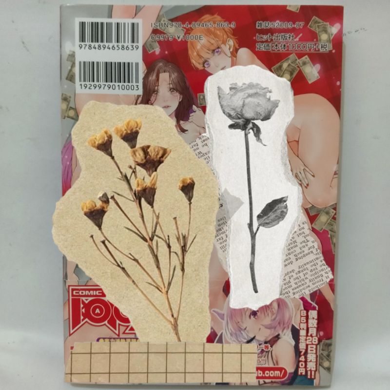 Comic Japan - Boku no Mama Katsu - Azukiko