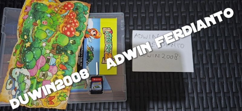 Nintendo Switch - ittle Dew 2+