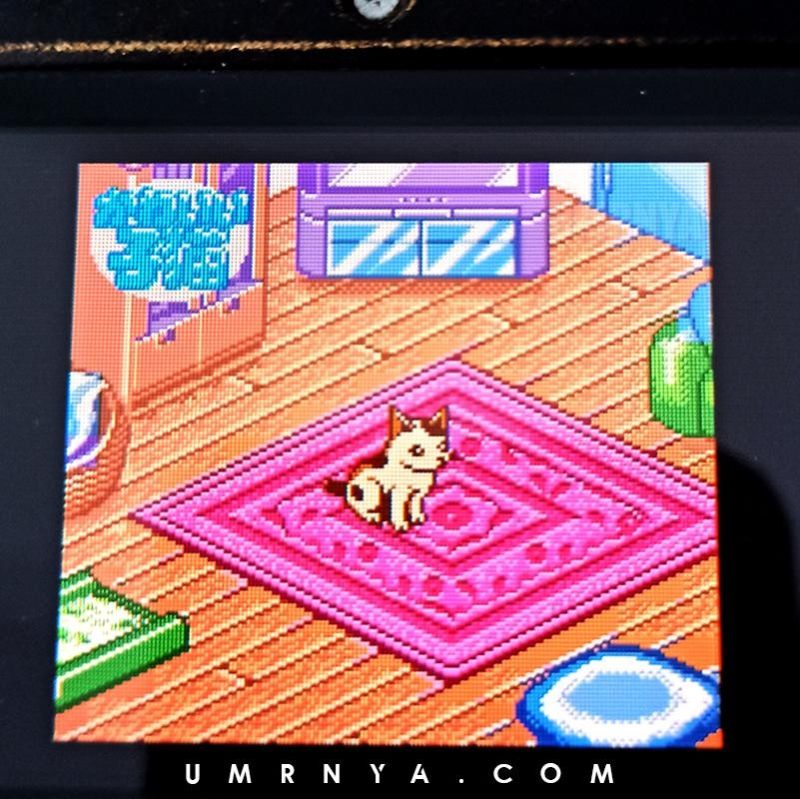 Kaset Gameboy Cute Kitten Kawaii Koneko Neko Kucing Pet Cartridge Nintendo Game boy GBC GBA SP Cat
