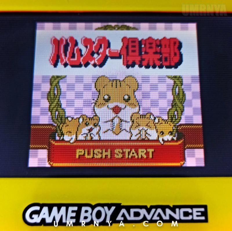 Kaset Gameboy GBC Game Boy Hamster club Tottoko Hamtaro Nintendo Game boy Color GBA SP Cartridge