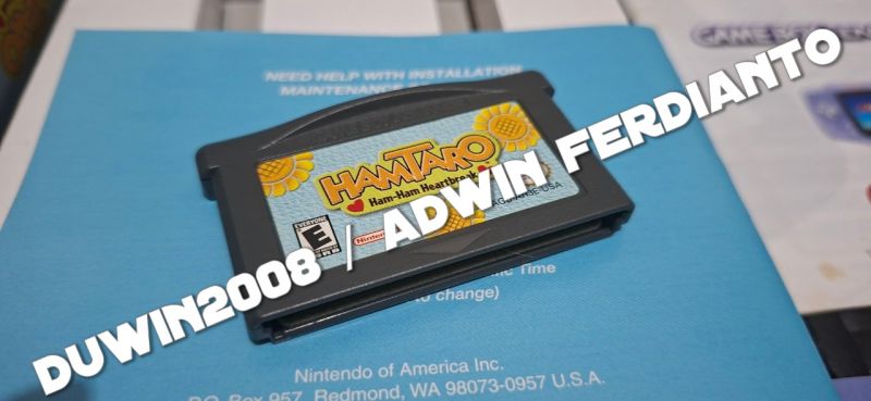 Nintendo GBA Game Boy Advance - Hamtaro Ham Ham Heartbreak