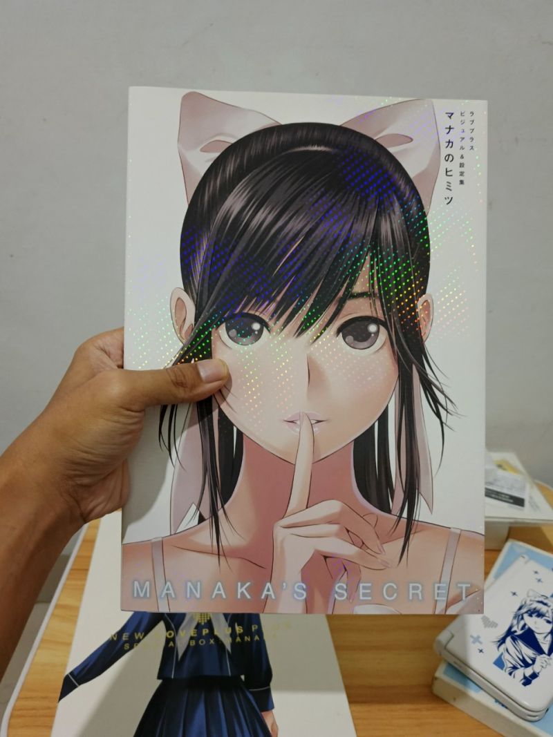 Nintendo 3DS LL limited edition Takane Manaka