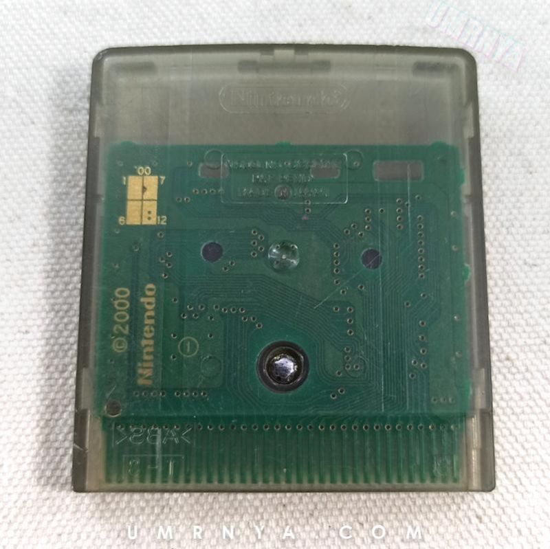 Kaset Gameboy Extreme Sports With The Bear Nintendo Game boy Color GBC GBA SP Cartridge
