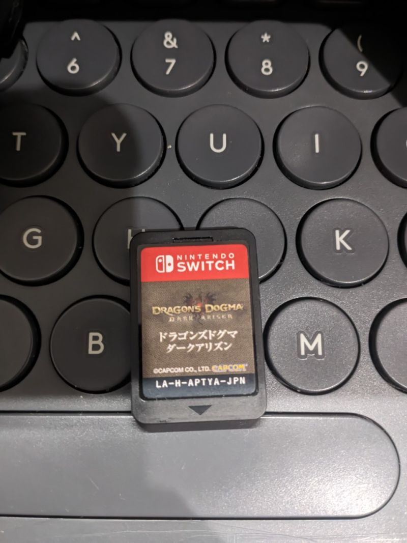 Dragon Dogma Dark Arisen Nintendo Switch
