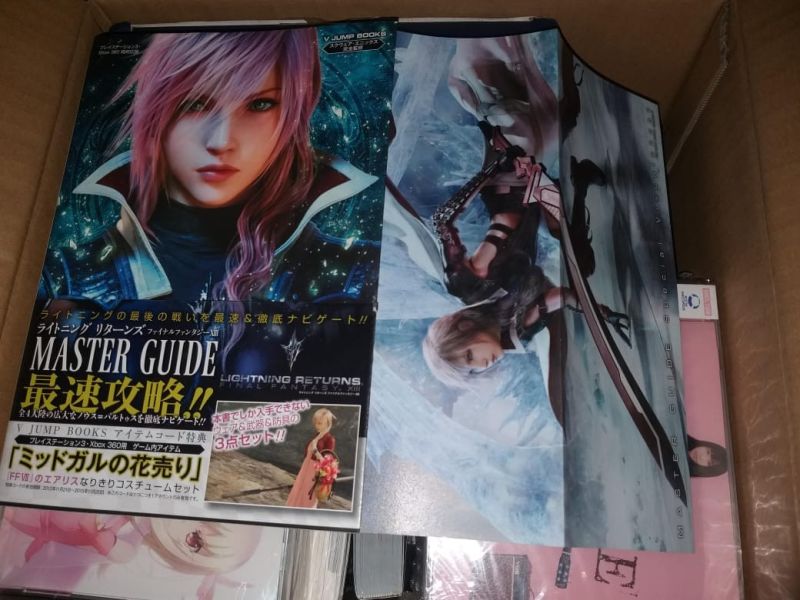 Lightning Returns Final Fantasy XIII Master Guide