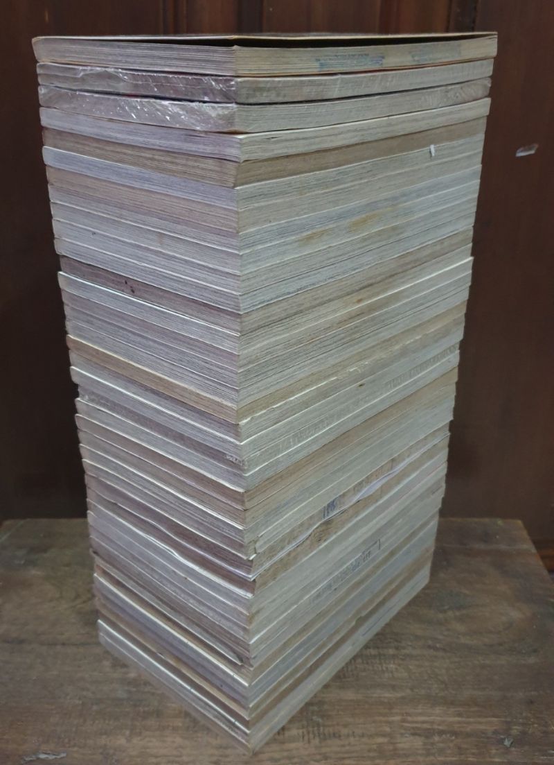 Komik Ghost Sweeper Mikami 1-39 Tamat. Samuel Zwagery II