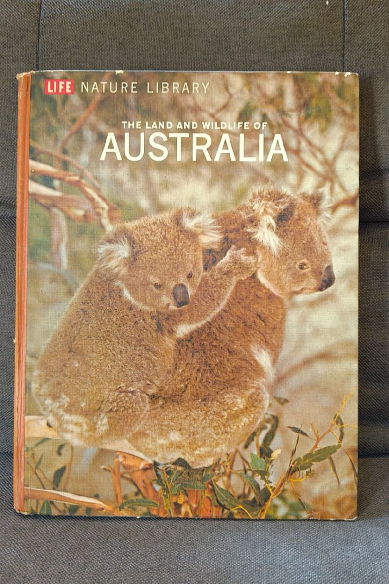 214,226,Ari P, buku Australia dan komik The city of dream,Lelangan GAMEROUSITY