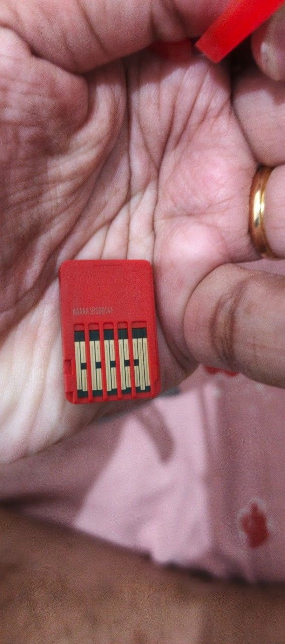 Mario kart world wahyu arif