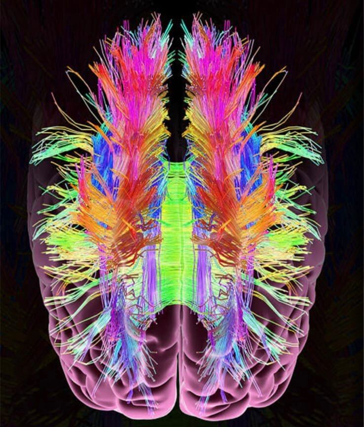 19 Super Smash Bros Ultimate PURE USA FIRST PRINT (ULTRA RARE) - Maddison Charles Jo 900