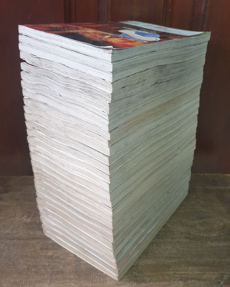 Komik Kungfu Boy Legends 1-28. Yoza Anshori