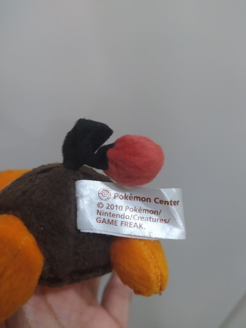 Pokemon Tepig Sleeping Pokemon center 2010